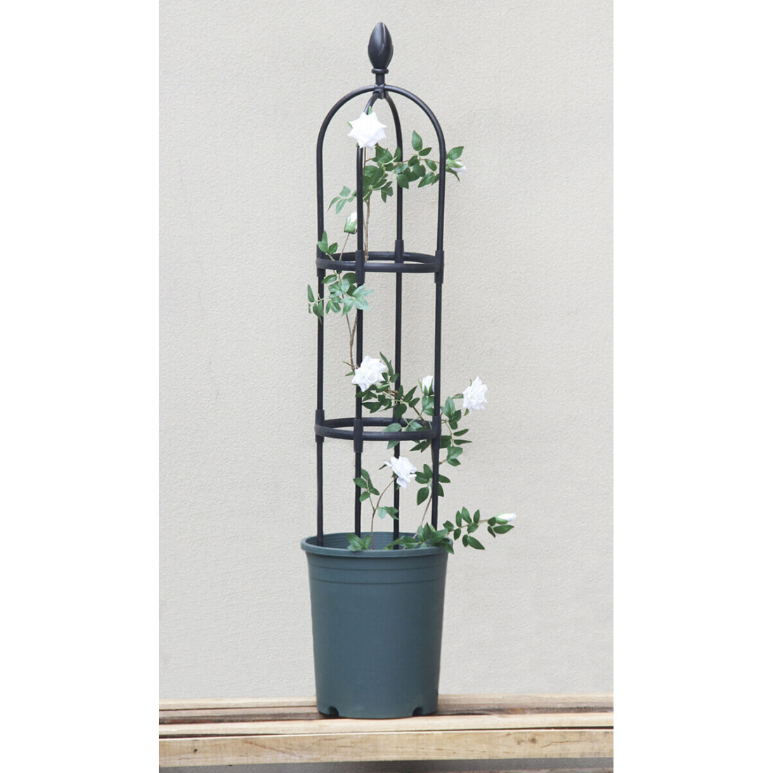 Pergola ze stali i materiału PE o wymiarach 30x180 cm do podpierania róż oraz pnączy