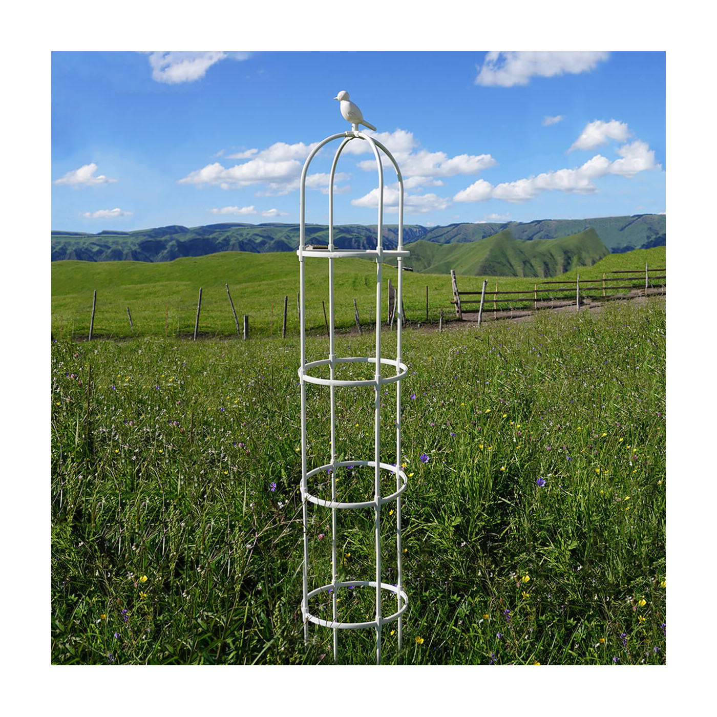 Aranżacja Biała pergola na róże, wys. 210cm, metalowa - Cultivo 